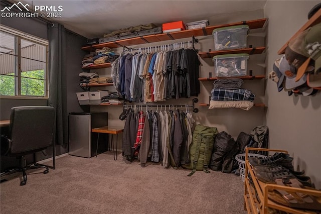 103 Linden Dr, Colorado Springs, CO 80911 - spacious closet featuring carpet flooring