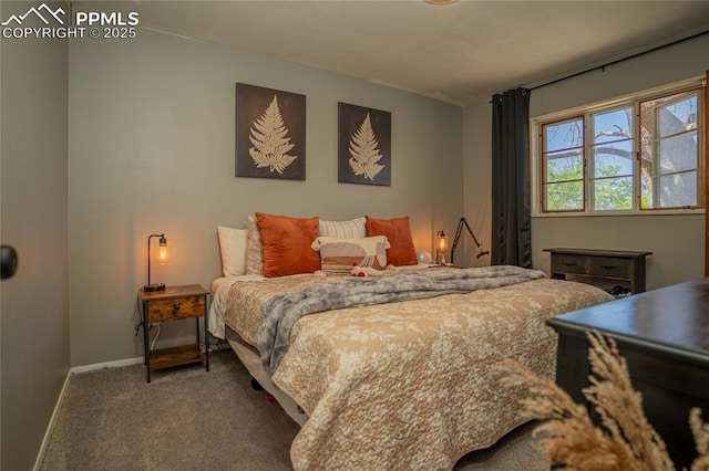 103 Linden Dr, Colorado Springs, CO 80911 - carpeted bedroom featuring baseboards