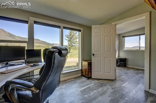 3645 Doolittle Rd, Monument, CO 80132 - office featuring vaulted ceiling, a wood stove, baseboards, and a textured ceiling