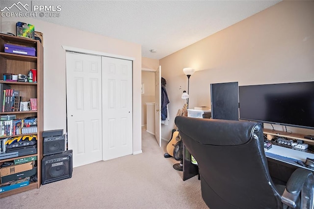 7136 Purple Thistle Ct, Colorado Springs, CO 80922 - office with carpet