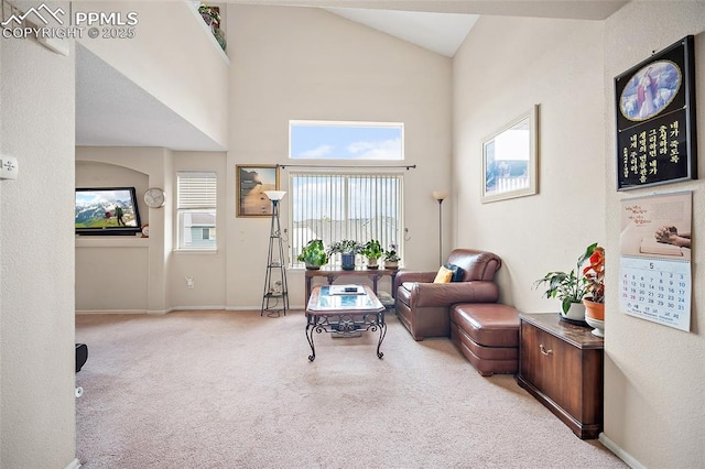 7136 Purple Thistle Ct, Colorado Springs, CO 80922 - living area featuring carpet, baseboards, and high vaulted ceiling