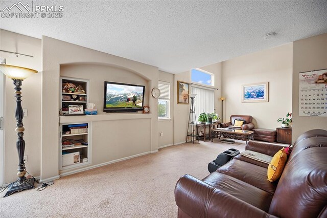 7136 Purple Thistle Ct, Colorado Springs, CO 80922 - carpeted living area featuring a textured ceiling, built in shelves, and baseboards