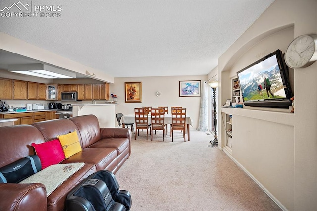 7136 Purple Thistle Ct, Colorado Springs, CO 80922 - living area with light colored carpet and a textured ceiling
