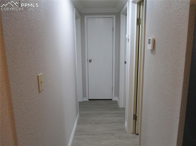 hallway with light wood finished floors, a textured wall, baseboards, and crown molding