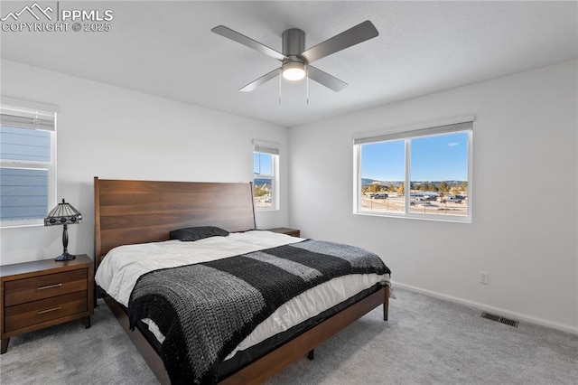 16422 Mountain Flax Dr, Monument, CO 80132 - bedroom with carpet floors and ceiling fan
