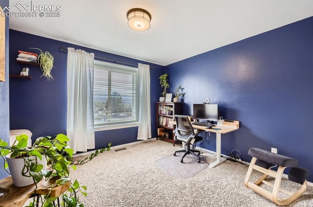 4258 Grassy Ct, Colorado Springs, CO 80916 - carpeted office with baseboards