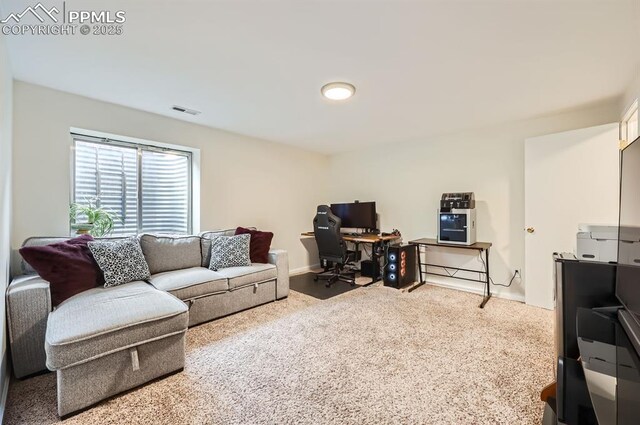 4258 Grassy Ct, Colorado Springs, CO 80916 - home office featuring carpet