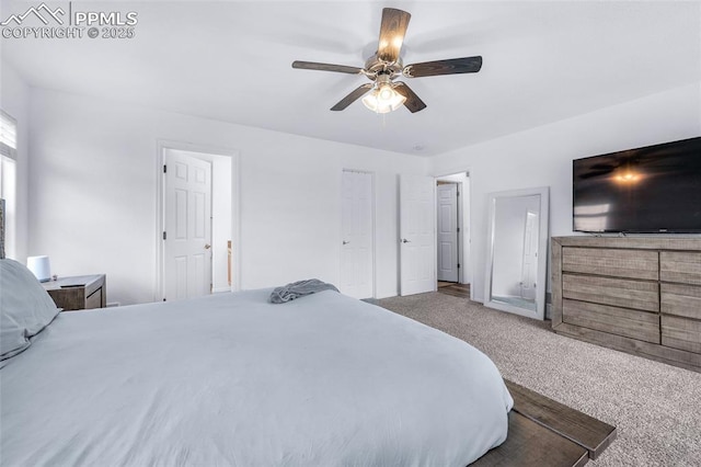 6244 Roundup Butte St, Colorado Springs, CO 80925 - carpeted bedroom with ceiling fan