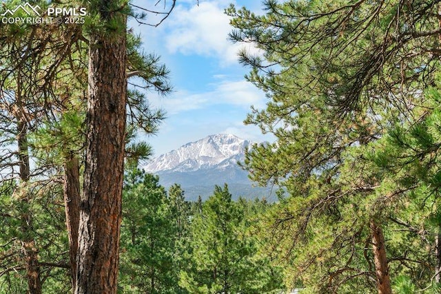 156 E Ridge Dr, Woodland Park, CO 80863