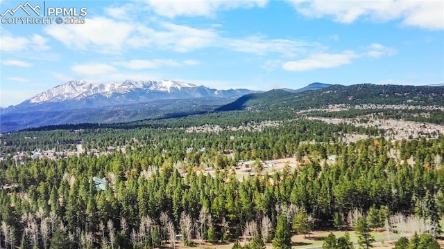 156 E Ridge Dr, Woodland Park, CO 80863