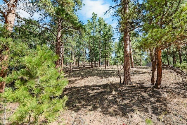 156 E Ridge Dr, Woodland Park, CO 80863