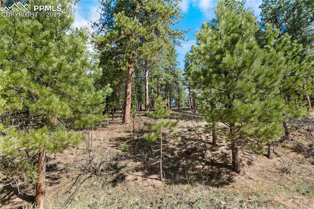156 E Ridge Dr, Woodland Park, CO 80863