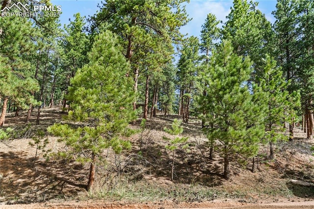 156 E Ridge Dr, Woodland Park, CO 80863