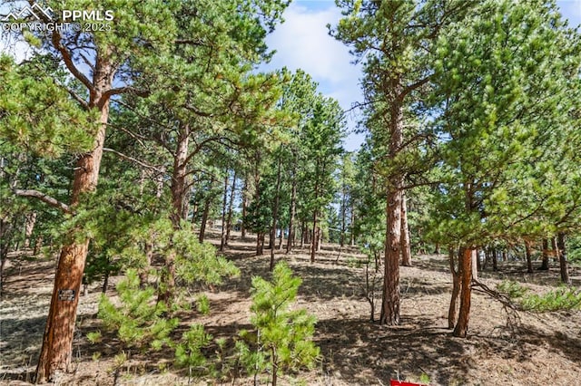 156 E Ridge Dr, Woodland Park, CO 80863