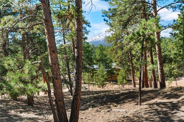 156 E Ridge Dr, Woodland Park, CO 80863