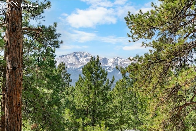 156 E Ridge Dr, Woodland Park, CO 80863