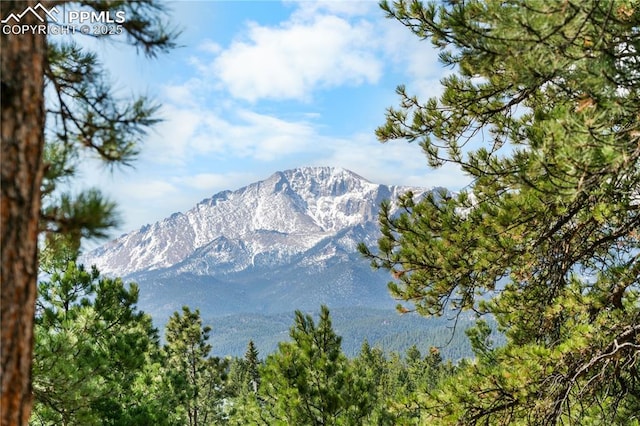 156 E Ridge Dr, Woodland Park, CO 80863