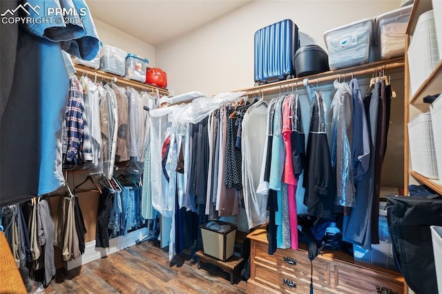 walk in closet featuring wood finished floors