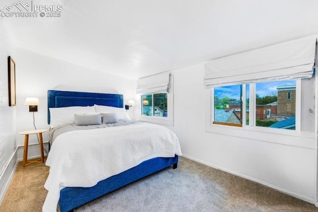 313 E Evans Ave, Pueblo, CO 81004 - bedroom featuring carpet flooring and baseboards