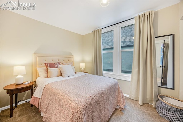 313 E Evans Ave, Pueblo, CO 81004 - carpeted bedroom featuring baseboards
