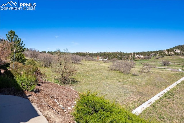 view of yard