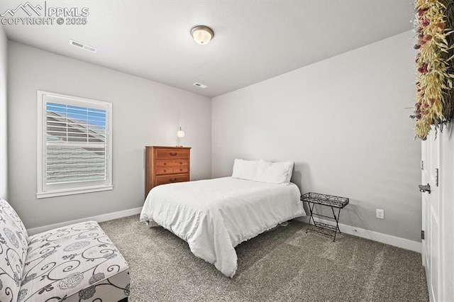 3293 Offbeaten Pl, Castle Rock, CO 80108 - carpeted bedroom with baseboards