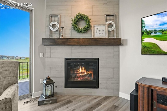 3293 Offbeaten Pl, Castle Rock, CO 80108 - detailed view of wood finished floors, baseboards, and a tiled fireplace
