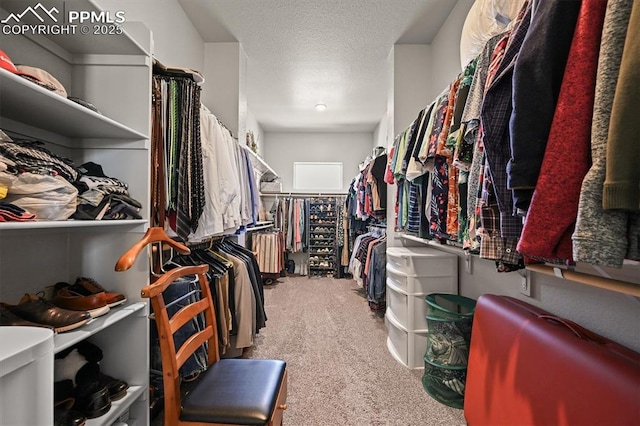 3293 Offbeaten Pl, Castle Rock, CO 80108 - spacious closet featuring carpet floors
