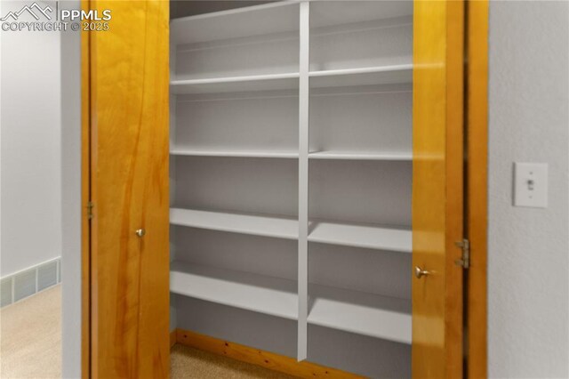 view of closet