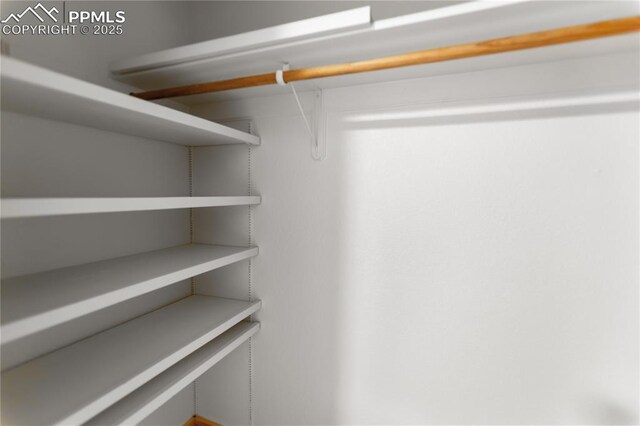 view of spacious closet