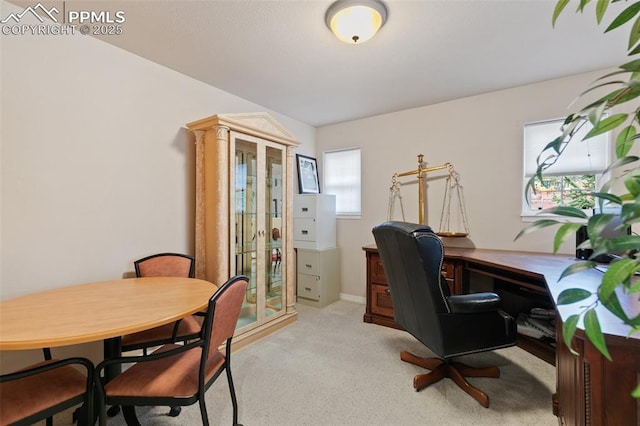 office with plenty of natural light and light carpet