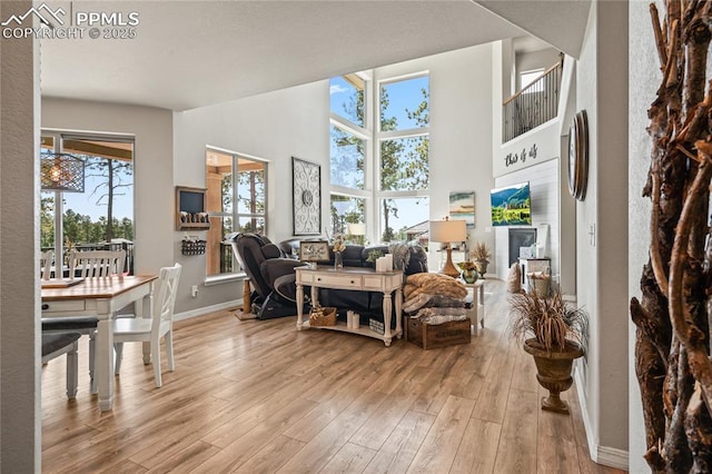 16231 Thunder Cat Way, Monument, CO 80132 - living room with light wood finished floors, baseboards, and a high ceiling