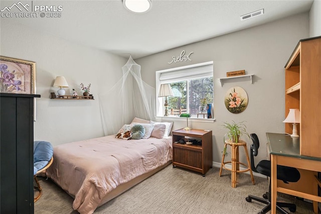 16231 Thunder Cat Way, Monument, CO 80132 - bedroom with a desk, carpet floors, and baseboards