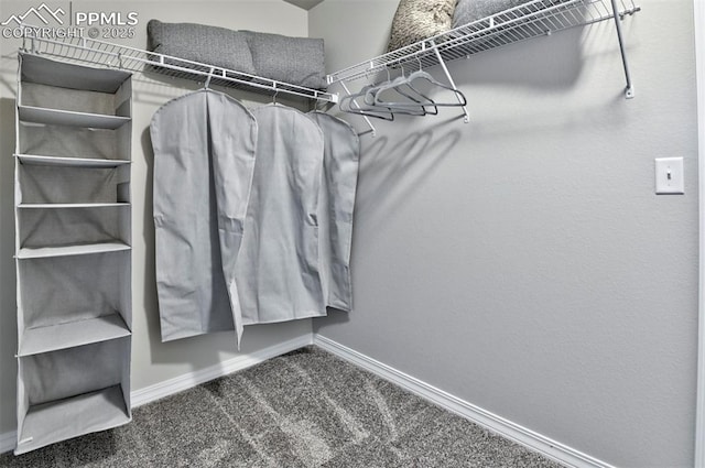 spacious closet with carpet floors