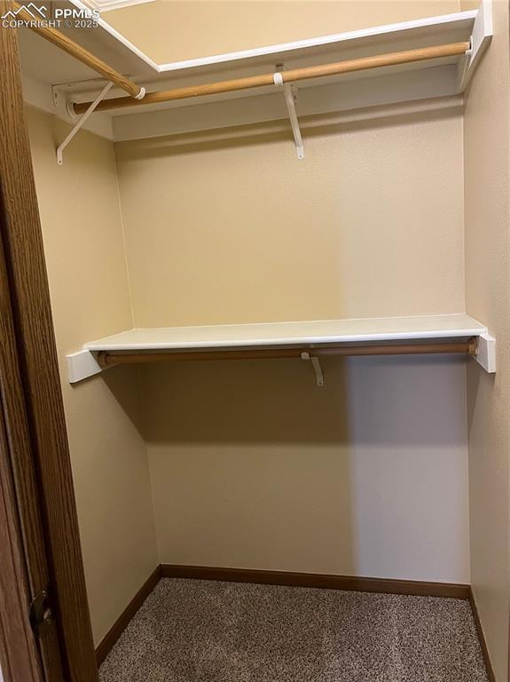 spacious closet featuring carpet