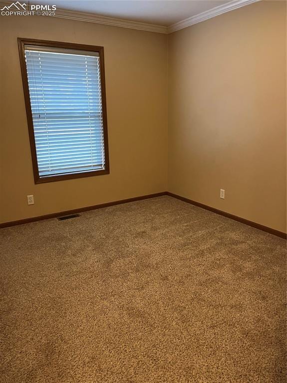 321 Aspen St, Cripple Creek, CO 80813 - empty room with baseboards, ornamental molding, and carpet flooring