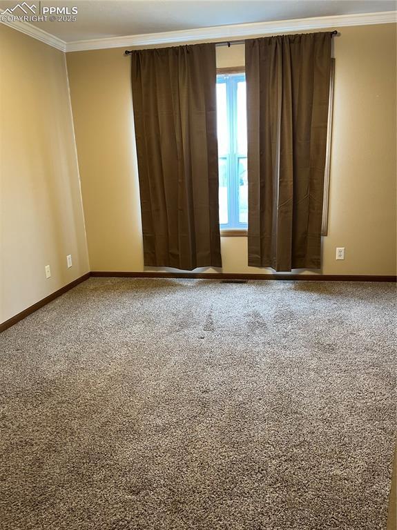 321 Aspen St, Cripple Creek, CO 80813 - unfurnished room featuring baseboards, ornamental molding, and carpet flooring