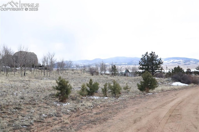 71 Ruby Cir, Lake George, CO 80827