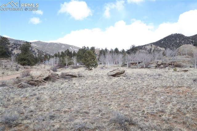 71 Ruby Cir, Lake George, CO 80827