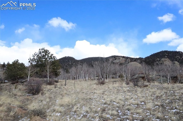 71 Ruby Cir, Lake George, CO 80827