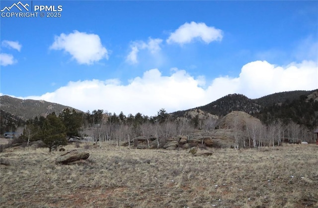 71 Ruby Cir, Lake George, CO 80827