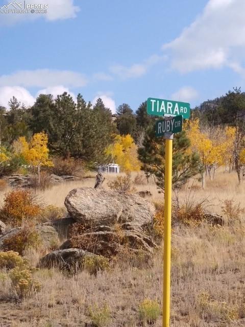 71 Ruby Cir, Lake George, CO 80827