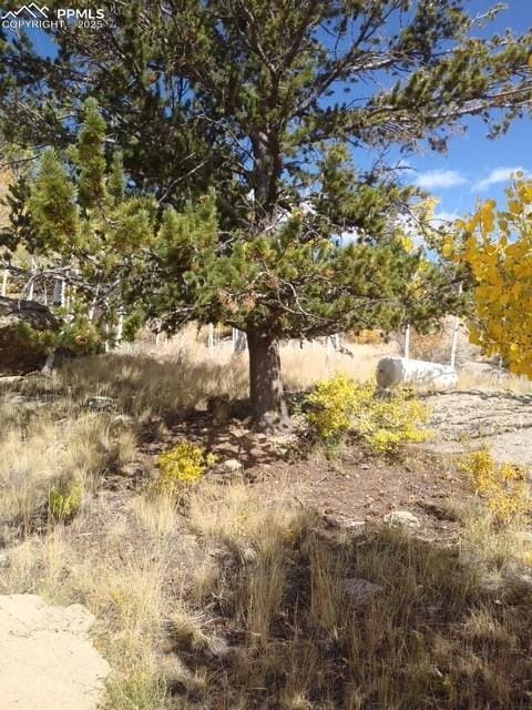 71 Ruby Cir, Lake George, CO 80827