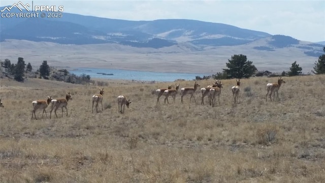 71 Ruby Cir, Lake George, CO 80827