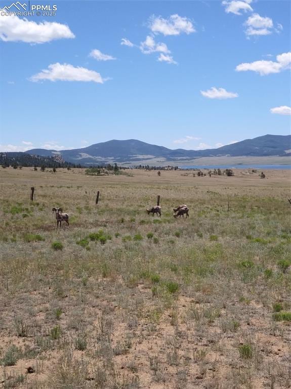 71 Ruby Cir, Lake George, CO 80827