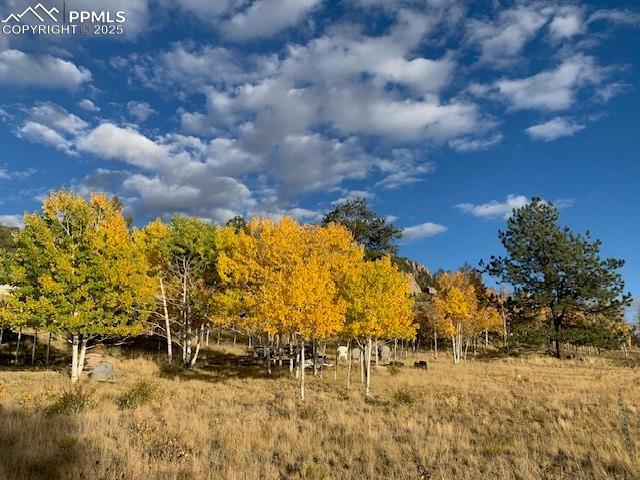 71 Ruby Cir, Lake George, CO 80827