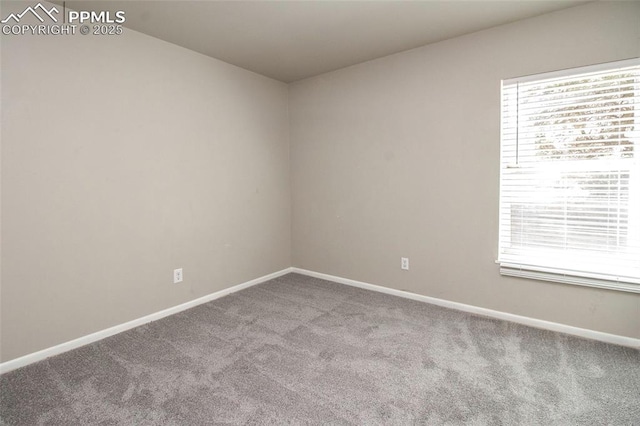 124 W Rockrimmon Blvd Unit 103, Colorado Springs, CO 80919 - unfurnished room with carpet flooring, baseboards, and healthy amount of natural light