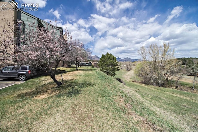 124 W Rockrimmon Blvd Unit 103, Colorado Springs, CO 80919 - view of grassy yard