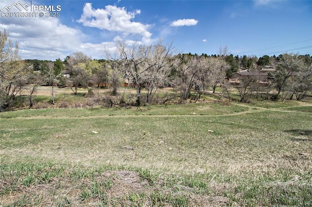 124 W Rockrimmon Blvd Unit 103, Colorado Springs, CO 80919 - view of yard with view of wooded area