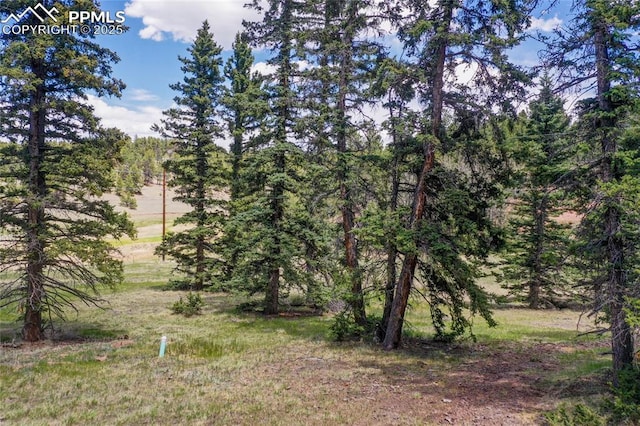 16 Echo Cir, Florissant, CO 80816 - view of woods